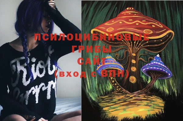 бошки Белокуриха