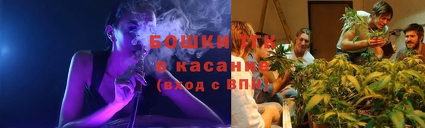 бошки Белокуриха