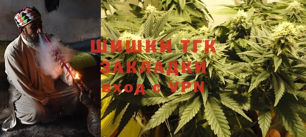 молекула духа Белоозёрский