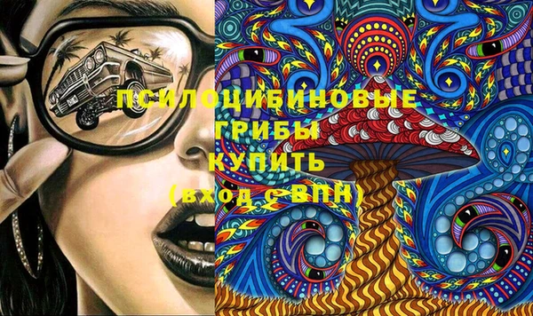 молекула духа Белоозёрский