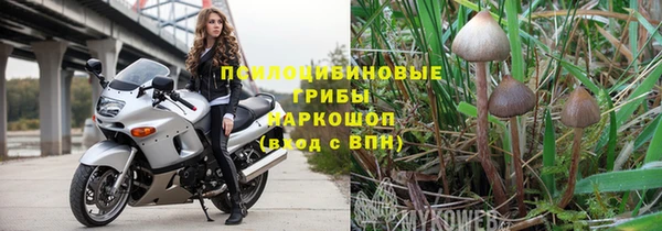 молекула духа Белоозёрский