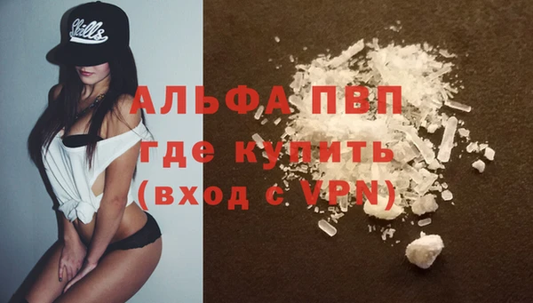 бошки Белокуриха